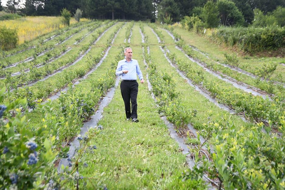 Başkan Taban: Tarımda İnegöl Modeli İle Geleceğe Yatırım İnegöl Belediye Başkanı Alper Taban 14 Mayıs Dünya Çiftçiler Günü
