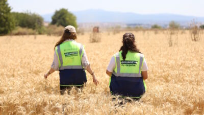  Bursa Büyükşehir Belediyesi’nin üreticilere destek olmak amacıyla Mustafakemalpaşa Belediyesi