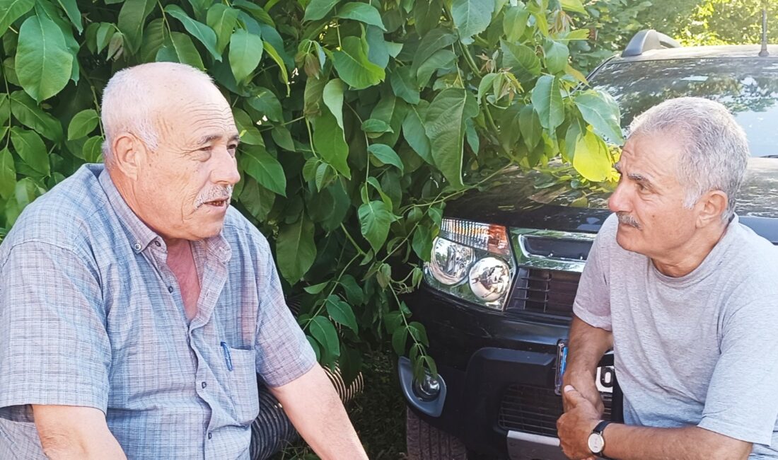 Gidenlerin bir daha görmek istediği, sırtını Uludağ’ın güney yamaçlarına dayamış,