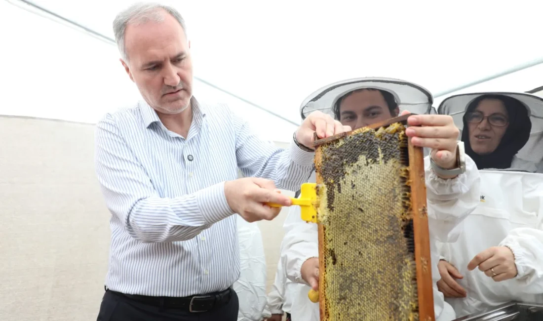 İnegöl’de 12 bin koloni ile yapılan bal üretiminde hasat başladı.
