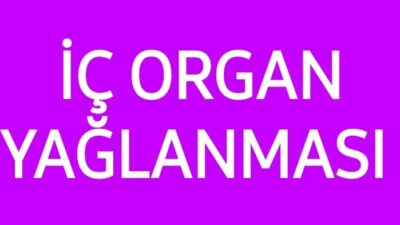 İç organ yağlanması karın içindeki organların çevresinde —özellikle karaciğer, pankreas