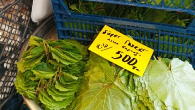 Bursa’nın Nilüfer ilçesinde kurulan köylü pazarında bu hafta en çok