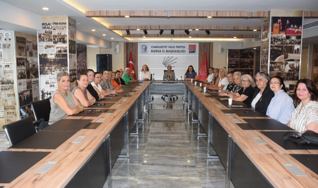 Cumhuriyet Halk Partisi Bursa İl Kadın Kolları, kadın cinayetlerine karşı