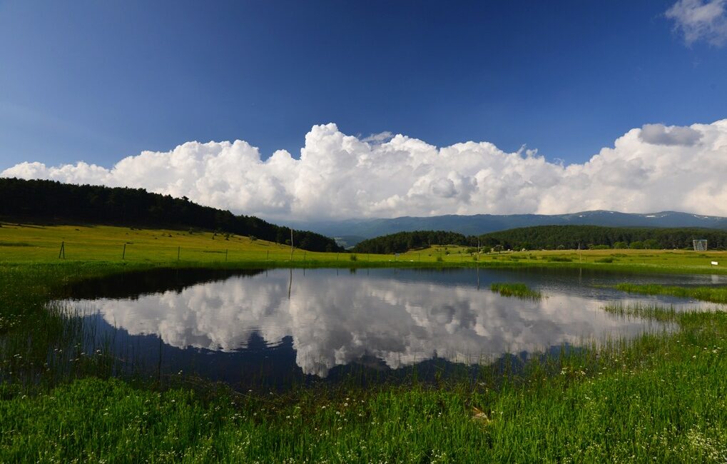 Bursa’da yeşil örtünün değeri ilerleyen yıllarda daha bir anlaşılır oldu.