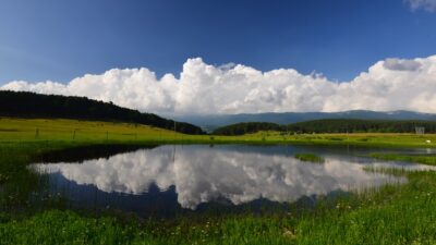 Bursa’da yeşil örtünün değeri ilerleyen yıllarda daha bir anlaşılır oldu.