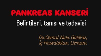 Pankreas, sindirime yardımcı enzimleri ve kan şekerini düzenleyen hormonları üreten