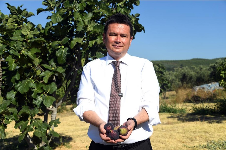 Bursa’yı dünya incir üretiminde zirveye taşıyan siyah incir, Osmangazi’de coşkulu