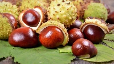 Doğrusunu söylemek gerekirse, adını ilk duyduğumda garibime gitmiş, ‘at için