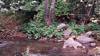 Hayat kaynağı su hayati önemini&nbsp; son zamanlarda iyice ortaya koydu.