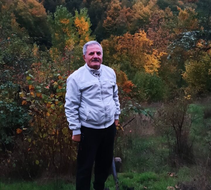 Sonbahar’dan ‘Veda’ya doğru! Hüzün Mevsimi olarak da adlandırılan Sonbahar’ın da son günlerini yaşıyoruz.