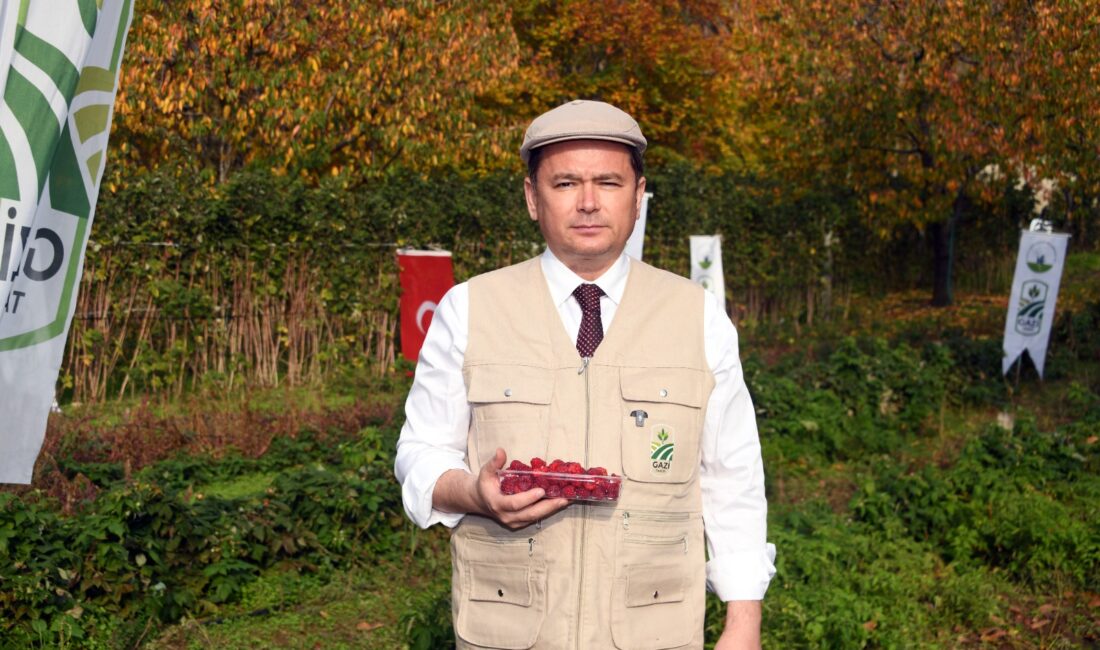 Osmangazi’de İlk Hasat Başkan Aydın’dan Osmangazi Belediyesi’nin tarımsal kalkınmanın desteklenmesi ve kentin üretim potansiyelinin artırılması