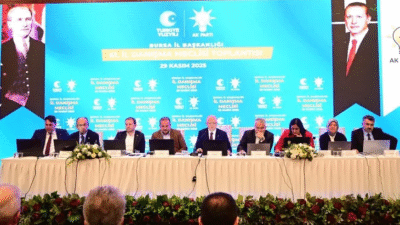 AK Parti Bursa İl Başkanlığının 61. İl Danışma Meclisi, Merinos