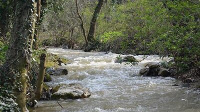 Nilüfer Çayı’nın sadece Bursa için değil tüm Marmara da önemi