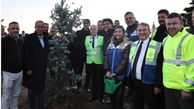 Bursa’nın yeniden ‘Yeşil’ kimliğine kavuşması için çalışmalarını sürdüren Büyükşehir Belediyesi,