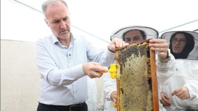 İnegöl Belediyesi, tarımı güçlendirmek ve üreticiyi desteklemek adına uyguladığı politikalarla