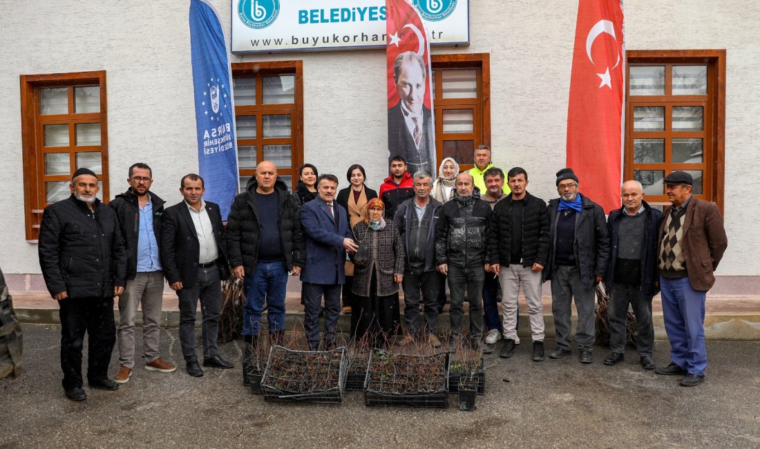 Bursa Büyükşehir Belediyesi, kırsal kalkınma hedefleri doğrultusunda üreticiye fide-fidan ve