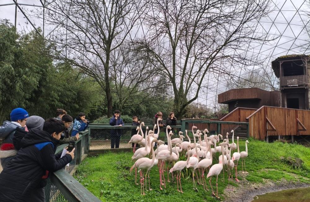 Doğa dedektifleri iz peşinde Bursa Büyükşehir Belediyesi tarafından düzenlenen ‘Bilim Fotoğrafçılığı’ atölyesine katılan çocuklar,