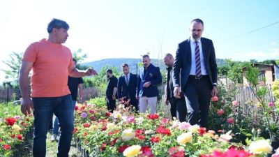 Kestel Belediyesi, ilçede faaliyet gösteren süs bitkileri üreticilerine yönelik destek